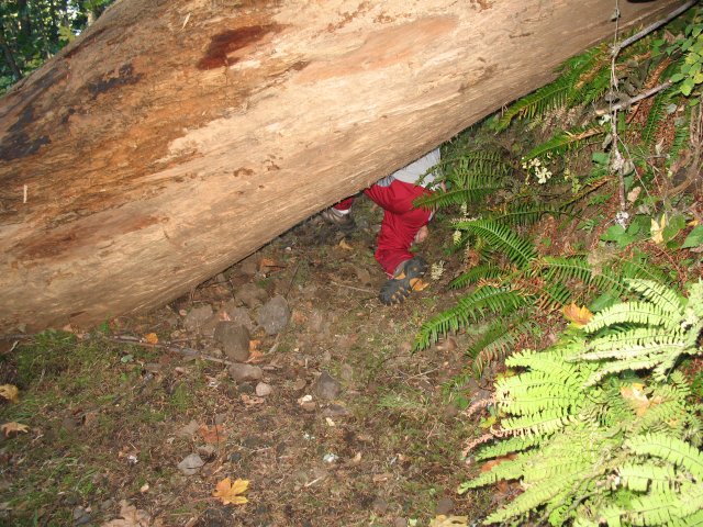 10.21.06 Wauna Viewpoint 025 